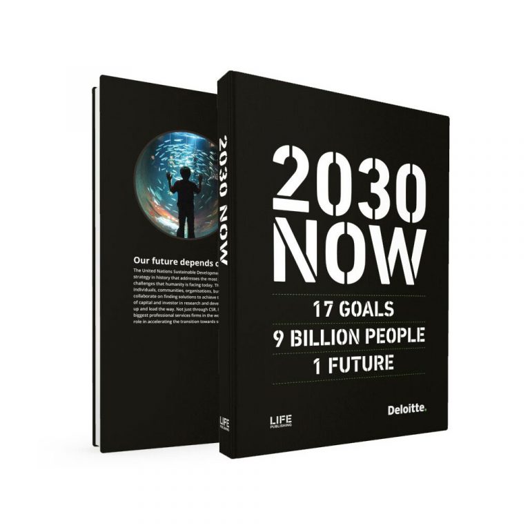 the-united-nations-2030-agenda-sustainable-development